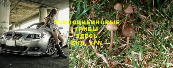 шишки Алзамай