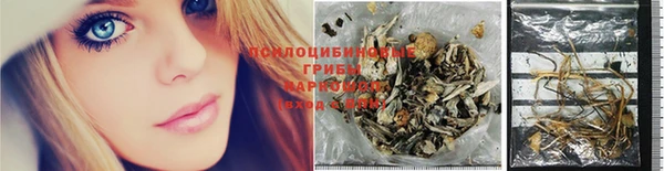 крисы Алексин
