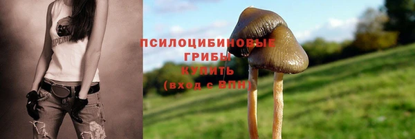 гашик Абдулино